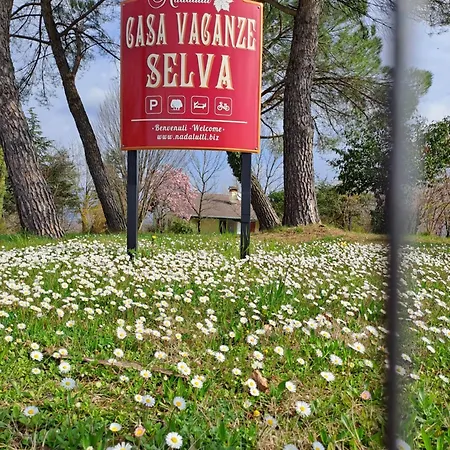 Casa Vacanze Selva Holiday home Premariacco