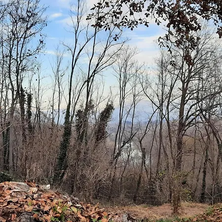 Casa Vacanze Selva * Premariacco
