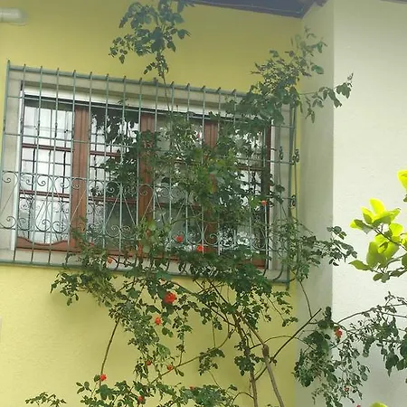Selva * Premariacco