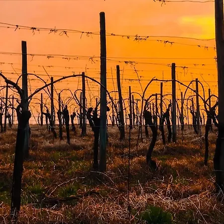 Casa Vacanze Selva Premariacco