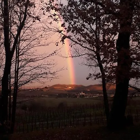 Casa Vacanze Selva *